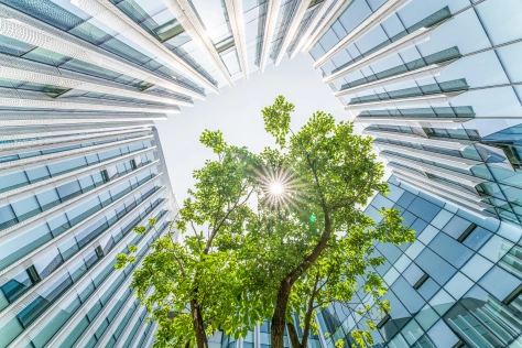 Architecture - Building with lush tree in a center 