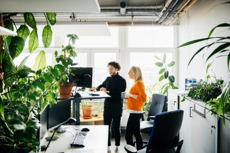 People -Two colleagues working together in an sustainable office