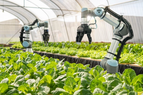 Tech - Robotic farmers in agribusiness