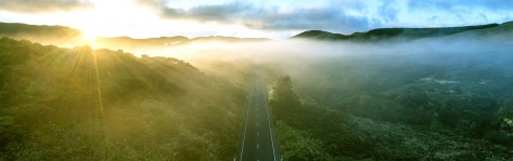Road during sunrise in the mist - C-Suite Barometer 2023