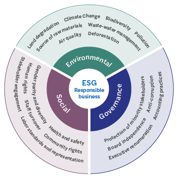 ESG Graphics - Responsible business