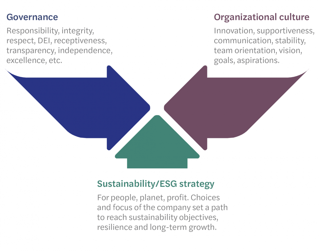 ESG Graphic - ESG Strategy